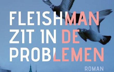 Fleishman zit in de problemen