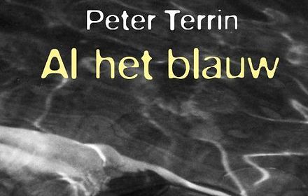 Al het blauw - Peter Terrin